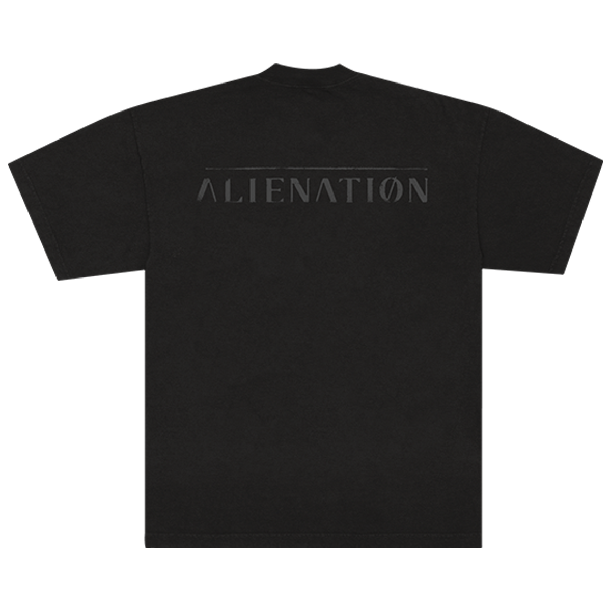 Alienation Flames Tee Back